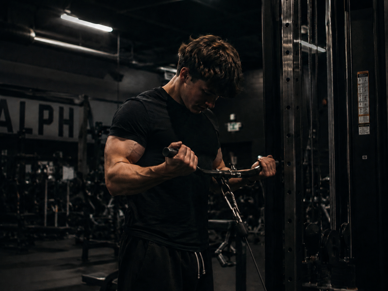 The Sam Sulek Training Case Study: What Beginners Should and Shouldn't Copy