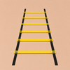 SwiftStep™ Agility Ladder Zenvera