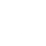 Wrist Support